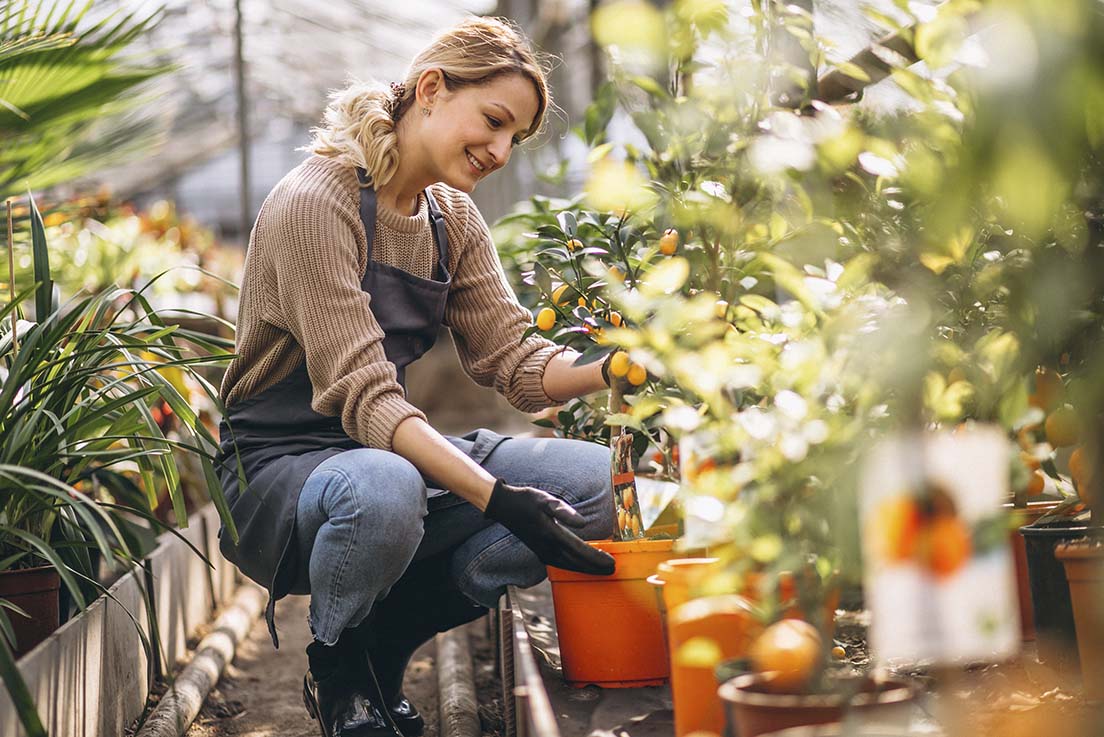7 olulist sügisest aiatööd, mida ei tasuks ära unustada!